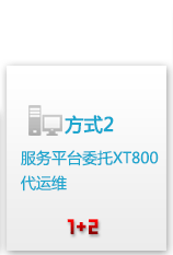 服务平台委托XT800代运维